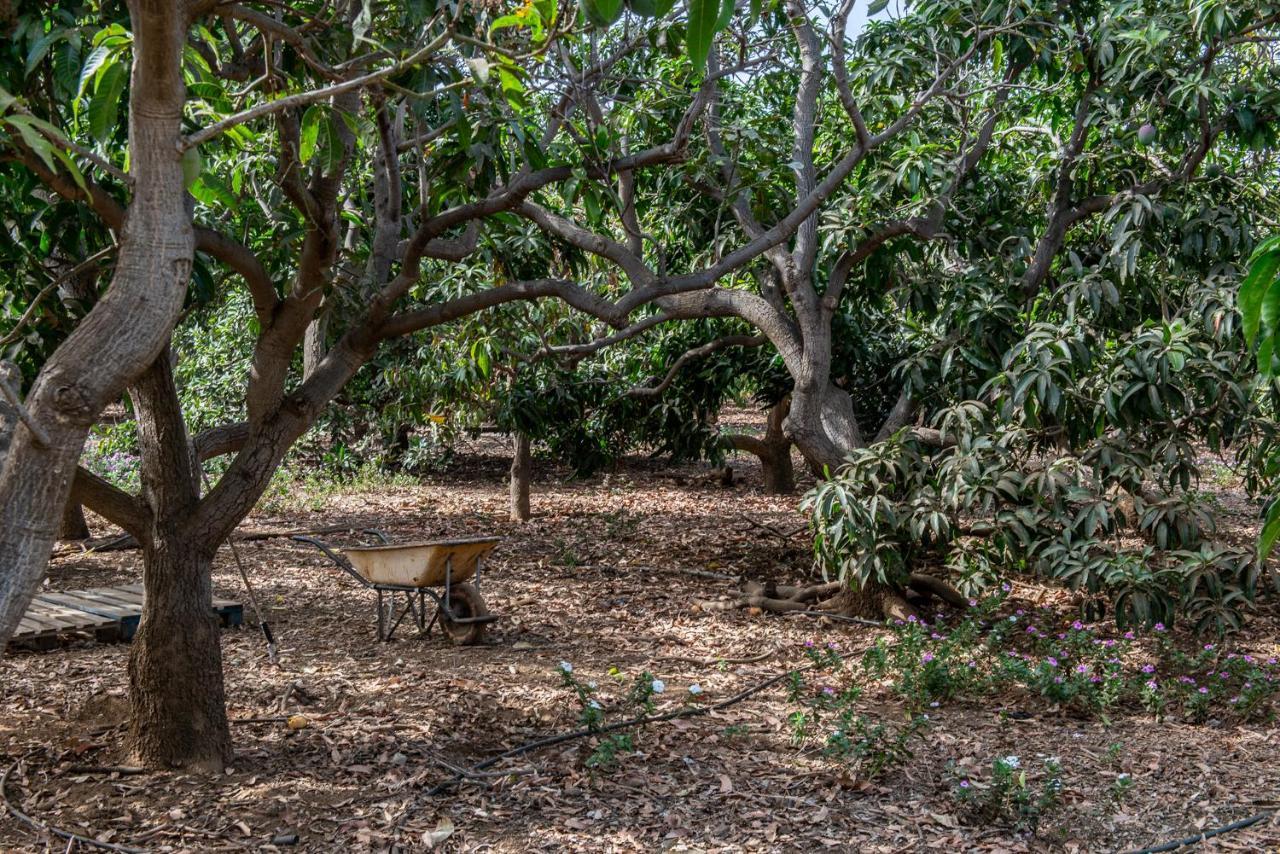 Apartments On An Organic Farm By The Coast, Φροντέρα Εξωτερικό φωτογραφία